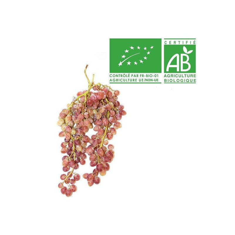 Raisin Exalta bio
