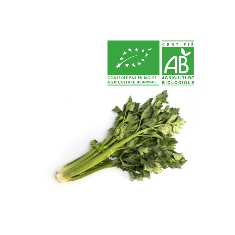 Céléri branche bio Céléri branche bio