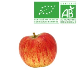 Pommes Reine des reinettes bio