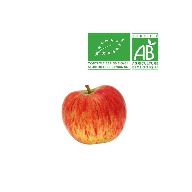 Pommes Reine des reinettes bio