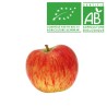 Pommes Reine des reinettes bio