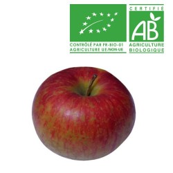 Pommes Reine des reinettes bio