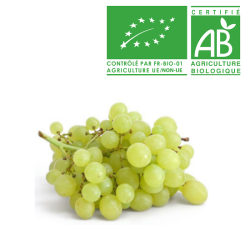 Raisin Exalta bio