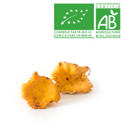 Champignons girolle bio