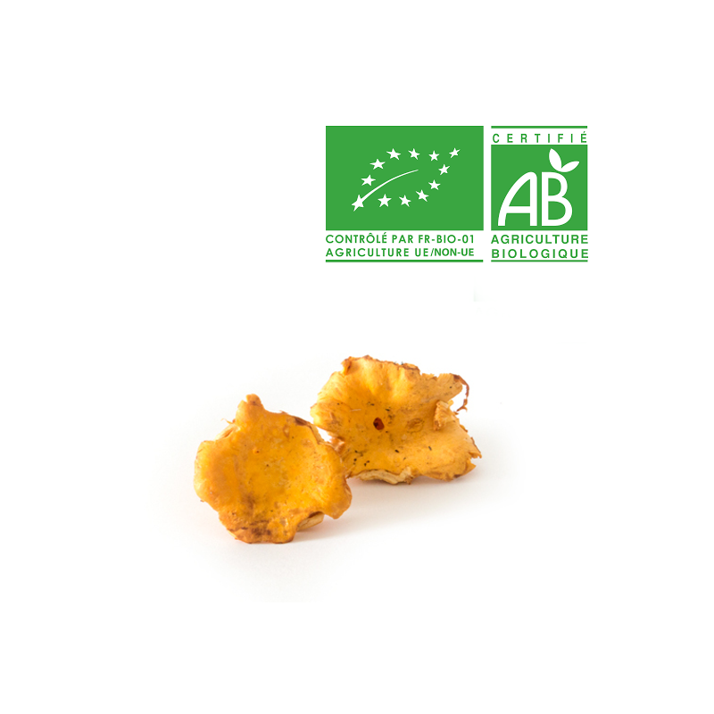 Champignons girolle bio Champignons girolle bio