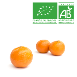 Clémentine italienne bio
