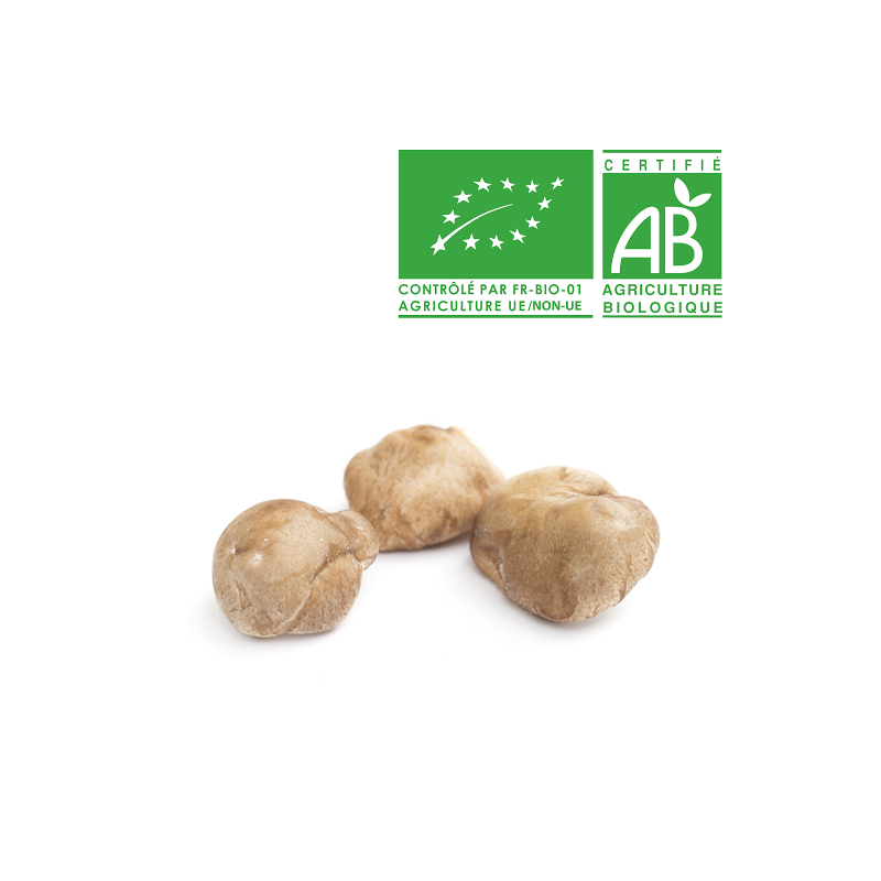 Champignons Shiitaké bio