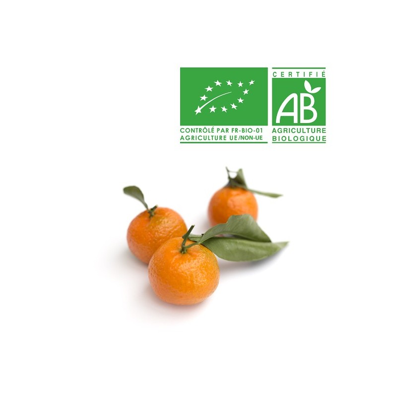 Clémentines Corse Bio Clémentines Corse Bio
