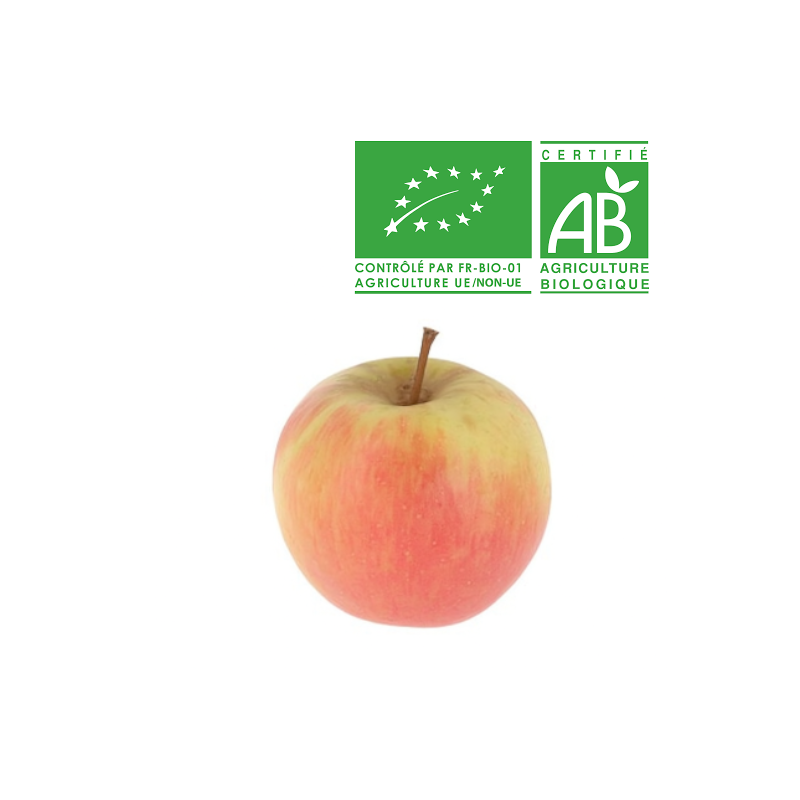 Pomme Reinettes d'Angleterre Bio