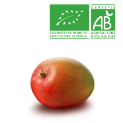 Mangue bio