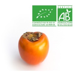 Kaki bio
