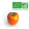 Kaki bio