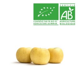 Pommes Chanteclerc bio