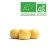 Pommes Chanteclerc bio