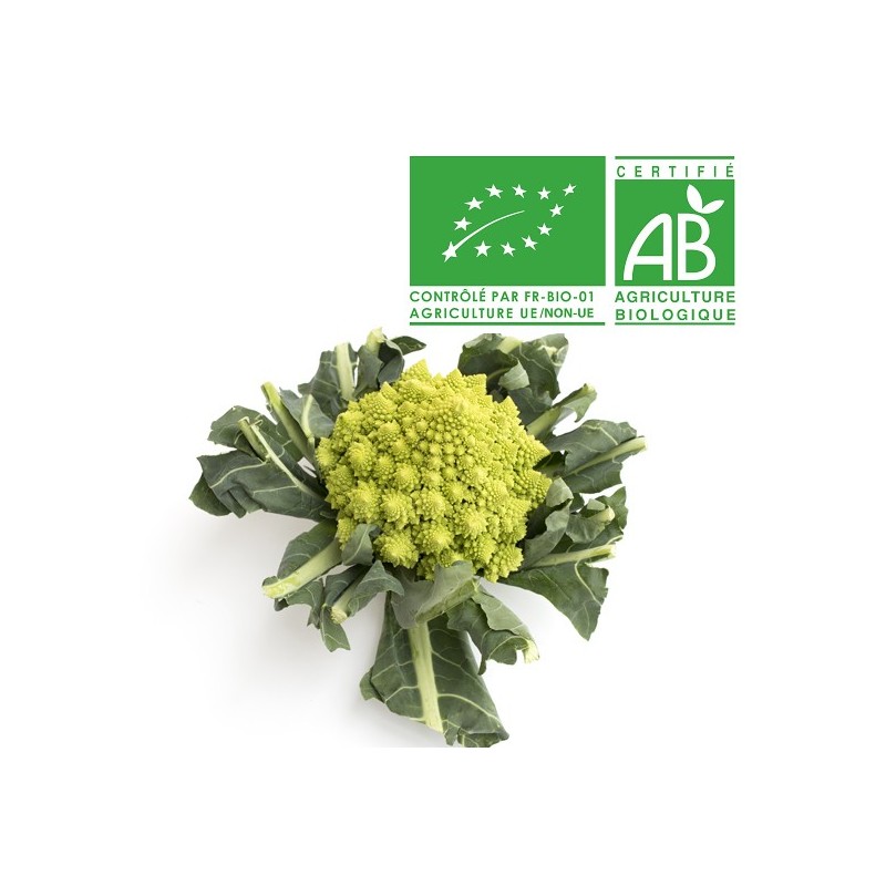 Choux romanesco Bio Choux romanesco Bio