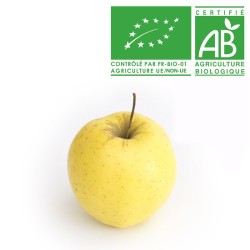 Pomme golden bio