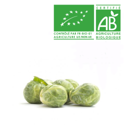 Choux bruxelles bio