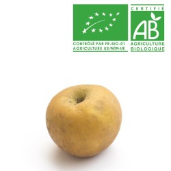 Pomme patte de loup bio