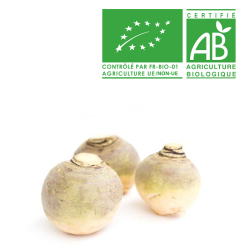 Rutabaga bio
