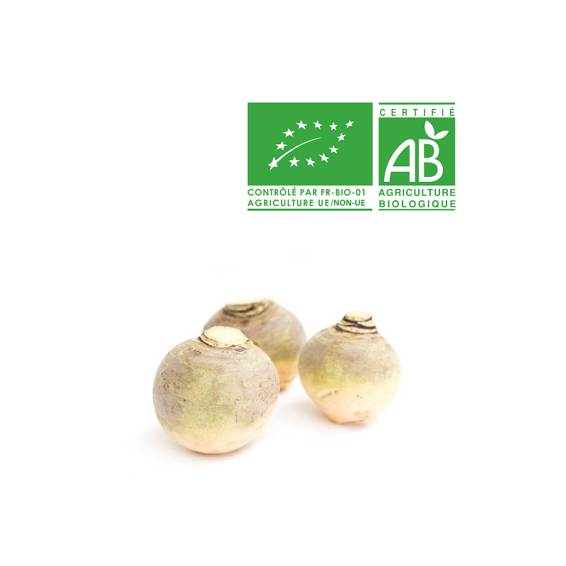 Rutabaga bio