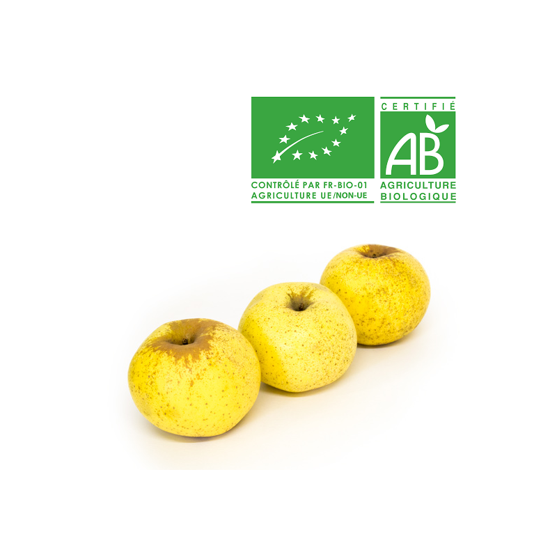 Pomme Goldrush bio