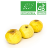 Pomme Goldrush bio