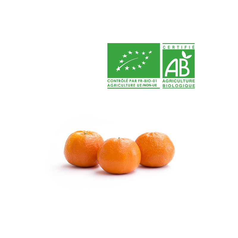 Mandarine bio