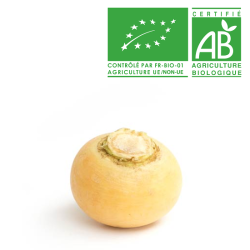 Navet Jaune bio