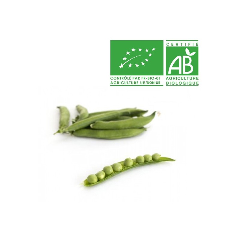Haricot petits pois bio