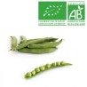 Haricot petits pois bio