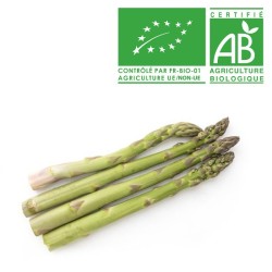 Asperges verte bio