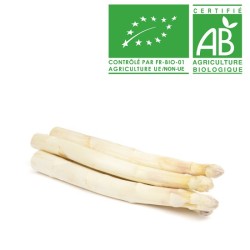 Asperge longue blanche 2nd choix bio