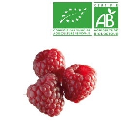 Framboise Bio