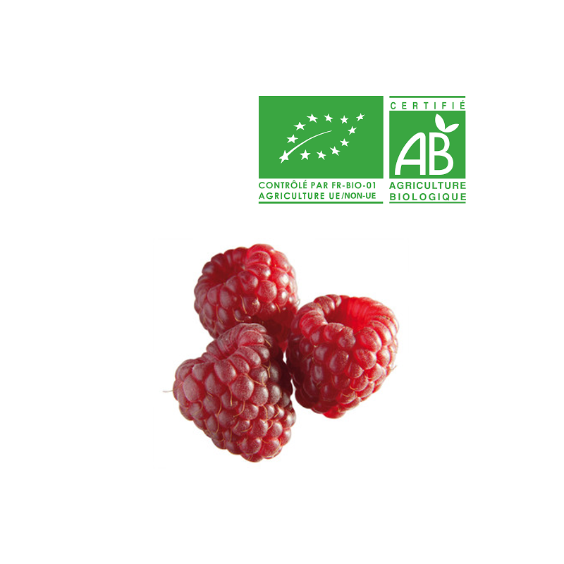 Framboise Bio