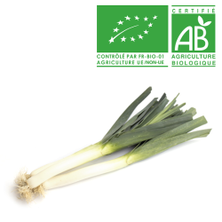 Poireau bio