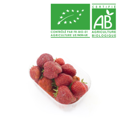 Fraises ronde bio