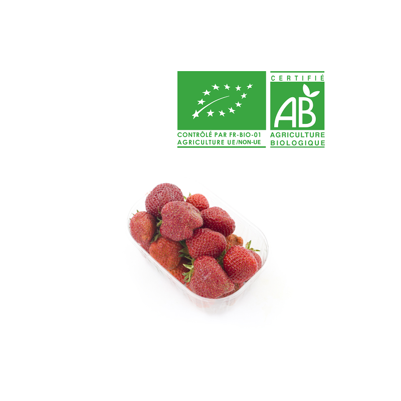 Fraises ronde bio