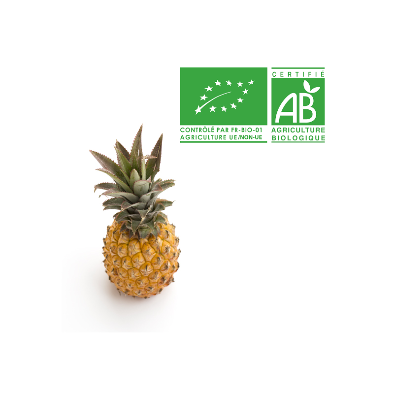 Ananas Victoria bio