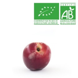 Nectarine blanche bio