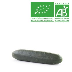Concombre Noa Bio