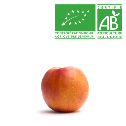 Nectarine jaune bio