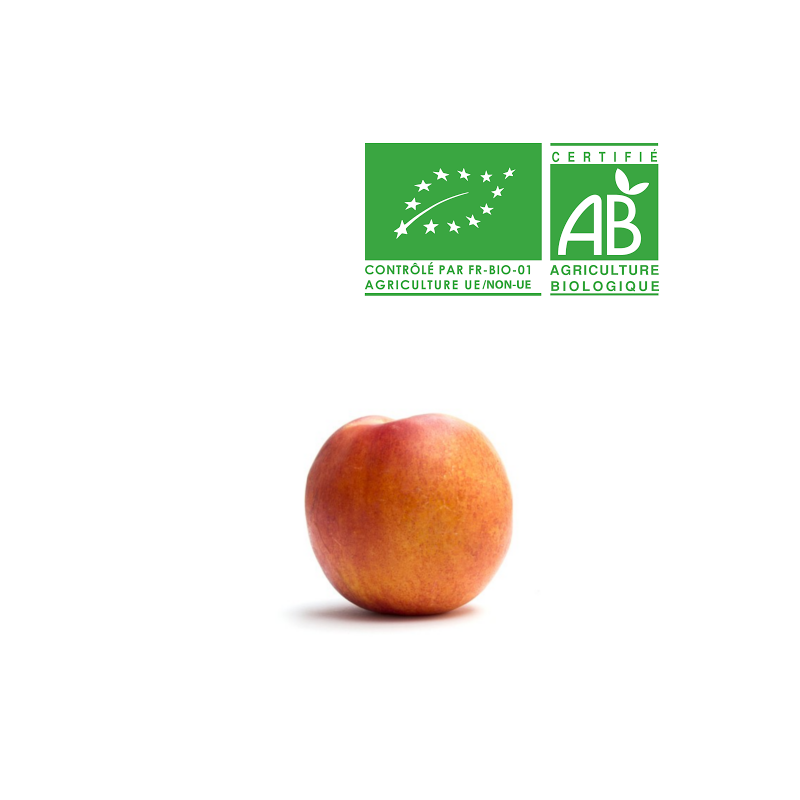 Nectarine jaune bio