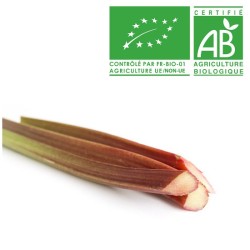 Rhubarbe bio