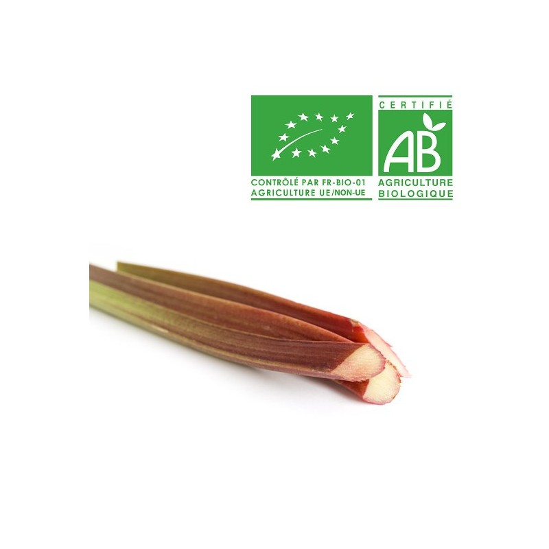 Rhubarbe bio
