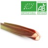 Rhubarbe bio