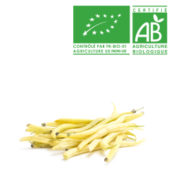 Haricot beurre Bio