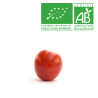 Tomates olivine