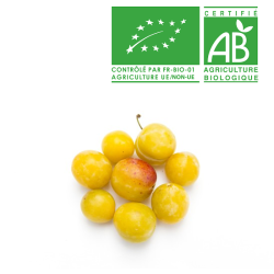 Prune Mirabelle Bio