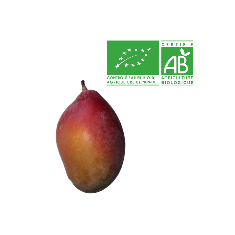 Mangue Bio