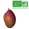 Mangue Bio